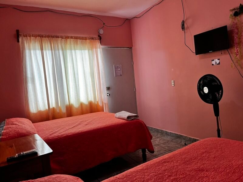 Habitación 6